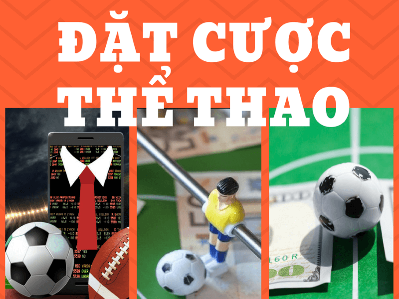 the-thao-hq88