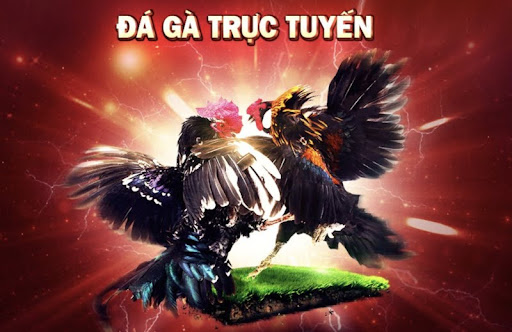 da-ga-mang-truc-tuyen-qh88