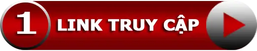 Linktruycap1