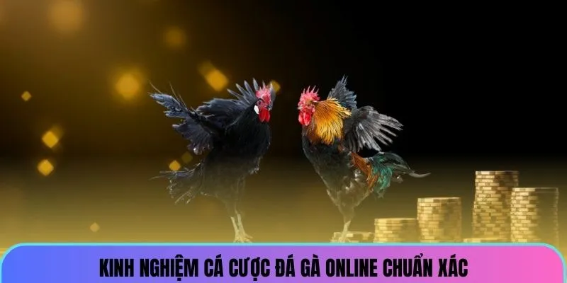 Đá Gà VZ99 - Trực Tiếp Cá Cược Chọi Kê Kịch Tính, Hấp Dẫn 1 da-ga-vz99-kinh-nghiem_7_11zon