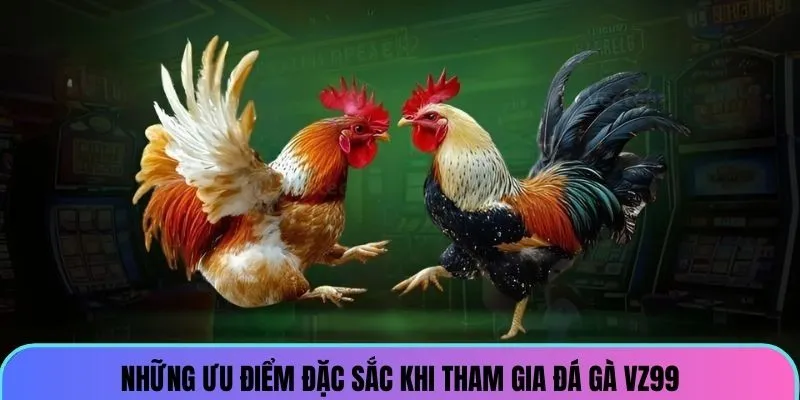 Đá Gà VZ99 - Trực Tiếp Cá Cược Chọi Kê Kịch Tính, Hấp Dẫn 2 da-ga-vz99-uu-diem_8_11zon